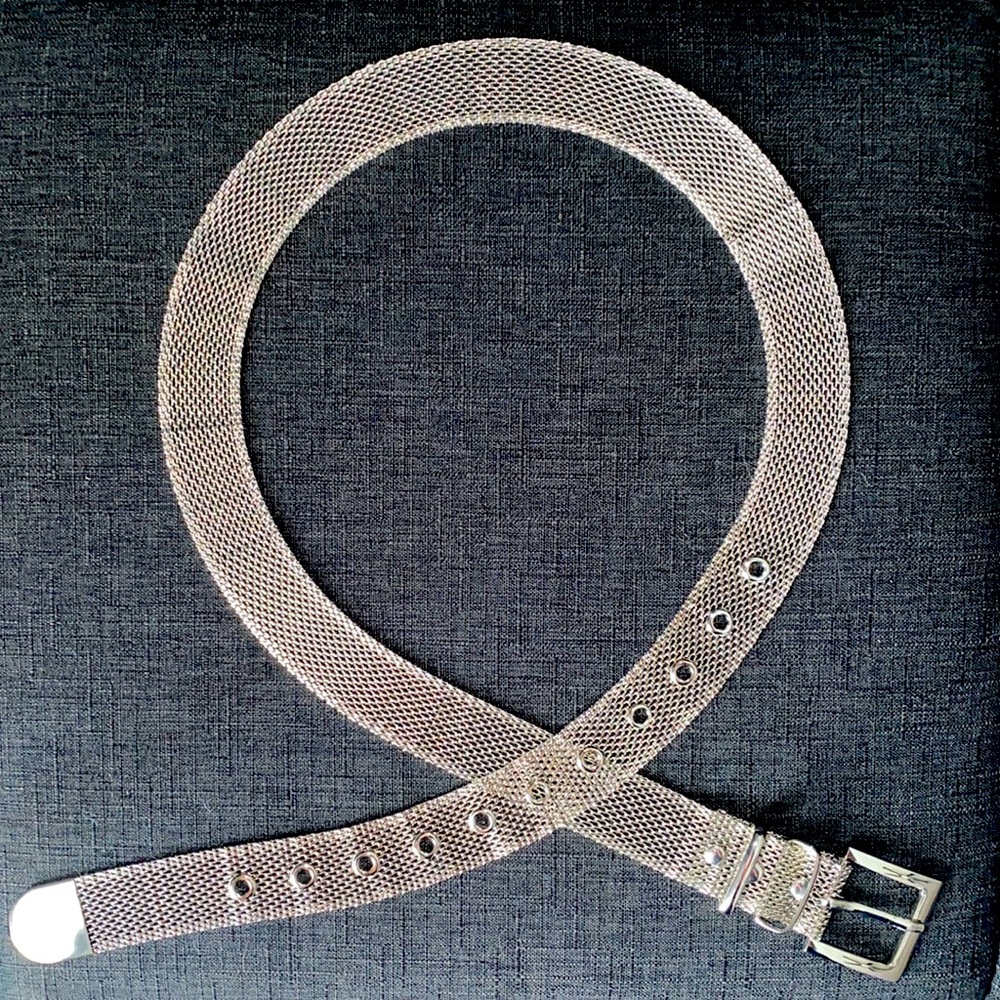 NWOT Silver mesh belt